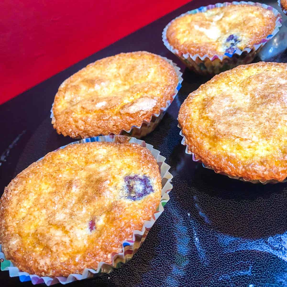 blueberry muffin fails