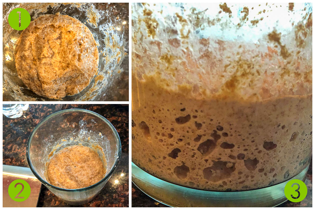 process shot of what sourdough starters look like. They are brown, bubbly, and overall fermented.